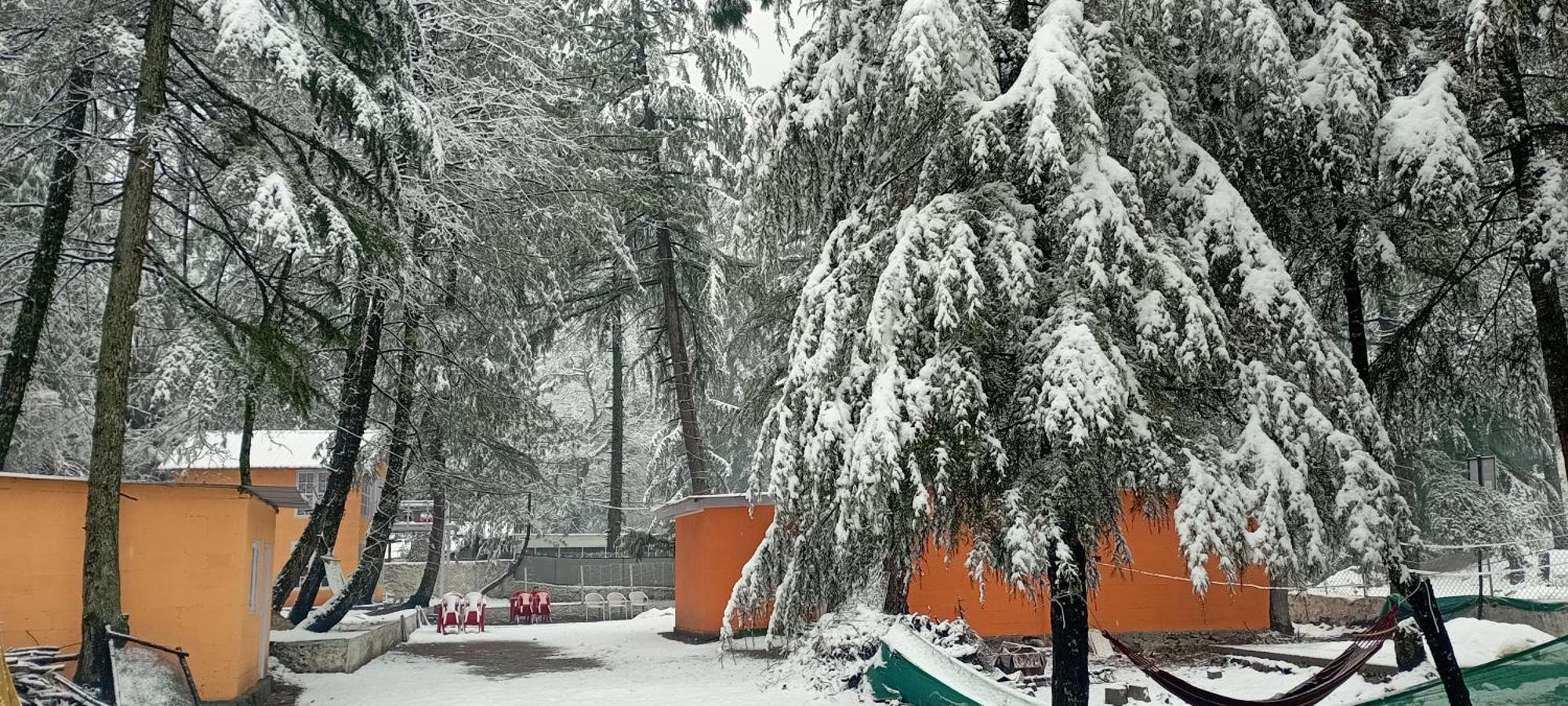Pandora Riverside Cafe & Stay Kasol Eksteriør bilde