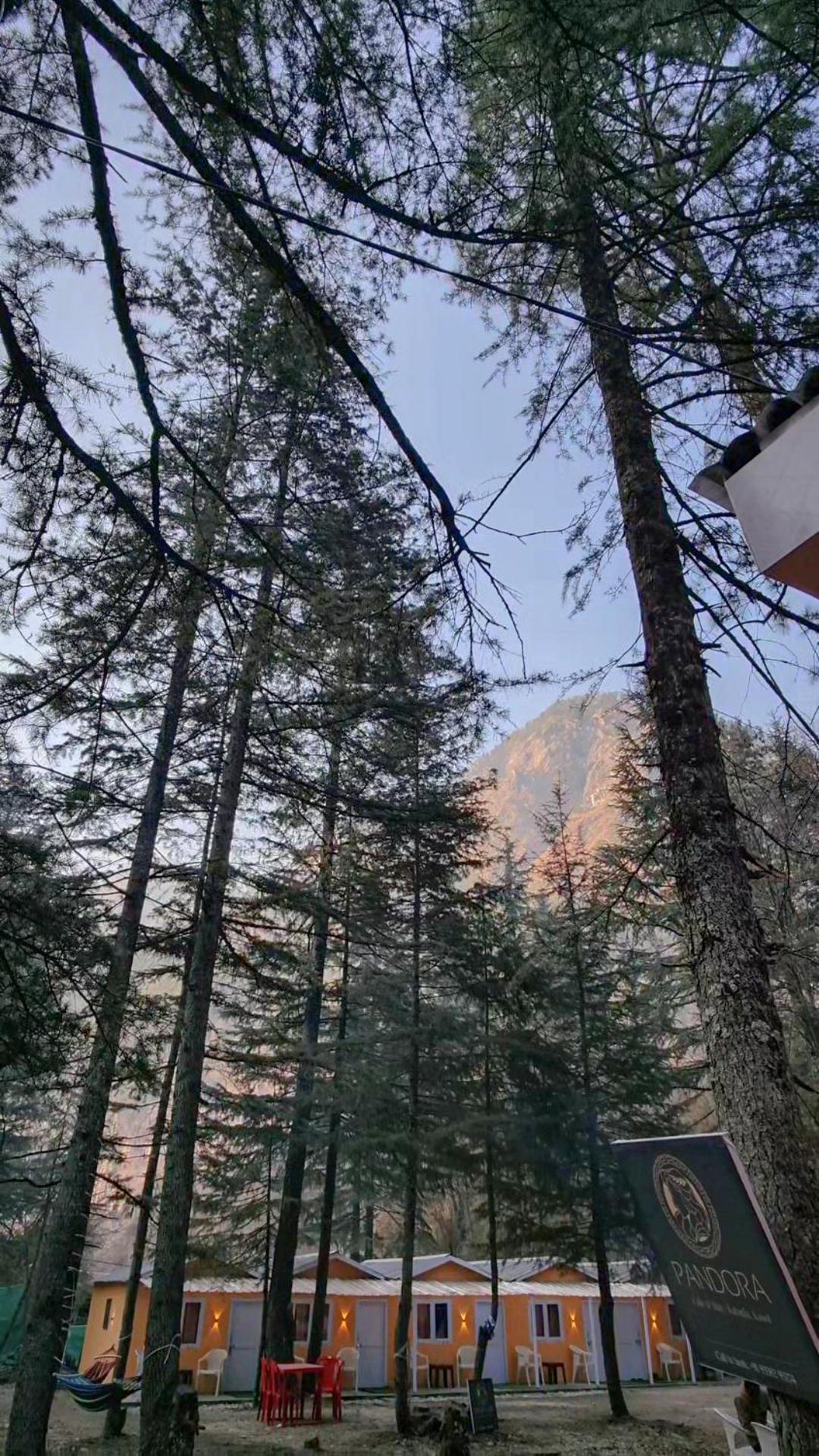 Pandora Riverside Cafe & Stay Kasol Eksteriør bilde